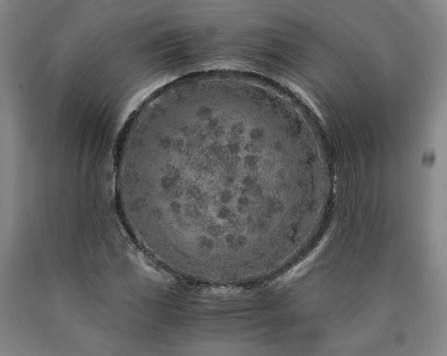 X0000090901117200707301407