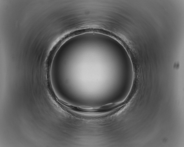 X0000090901118200707301407