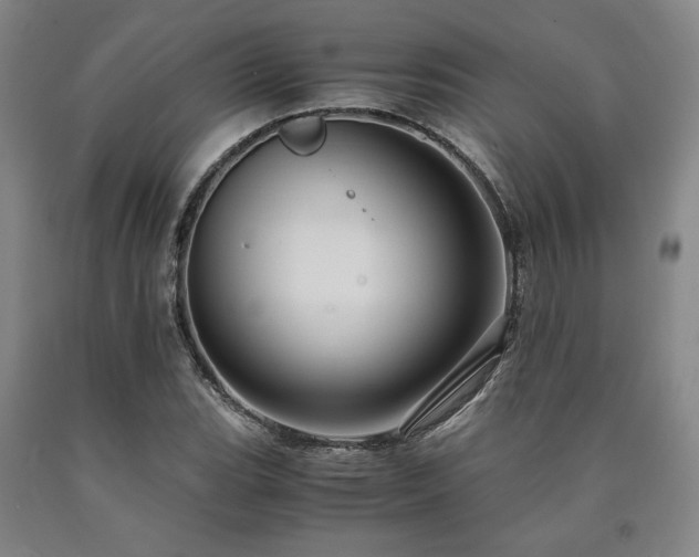 X0000090901119200707301407