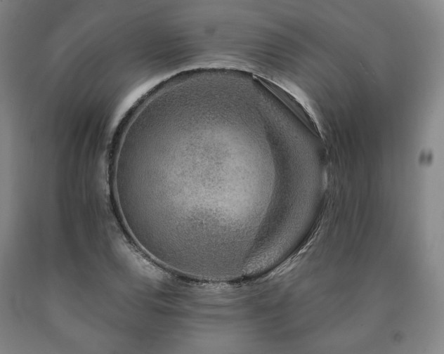 X0000090901120200707301407