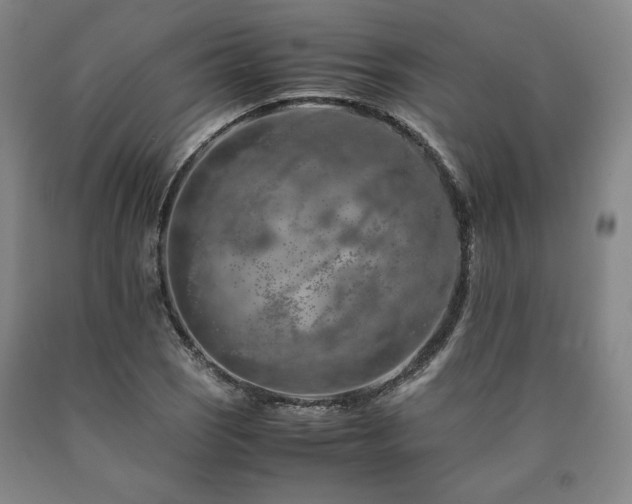 X0000090901121200707301407