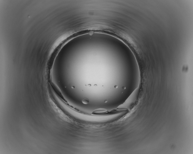 X0000090901122200707301407
