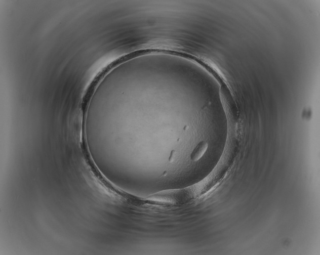X0000090901123200707301407