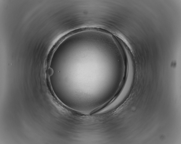 X0000090901124200707301407