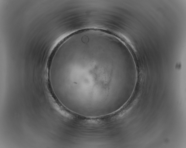 X0000090901125200707301407