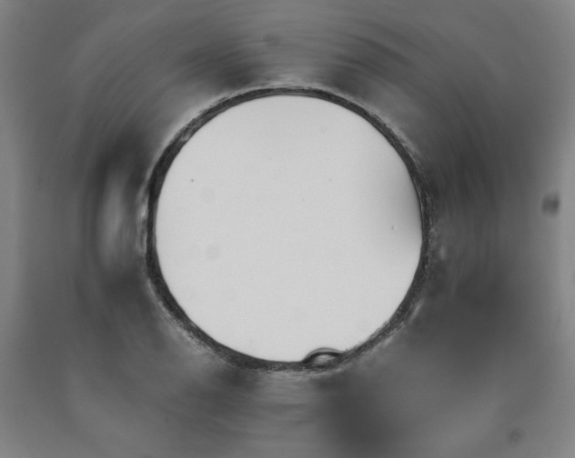 X0000090901126200707301407