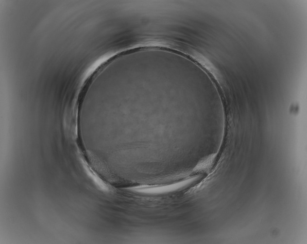 X0000090901127200707301407