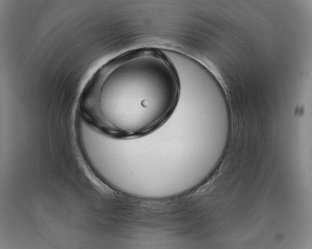 X0000090901128200707301407