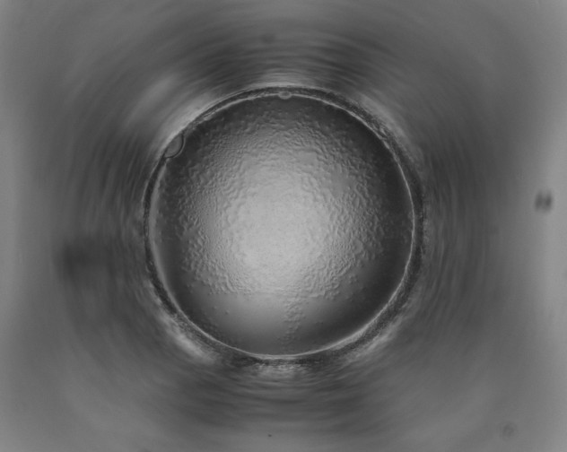 X0000090901129200707301407
