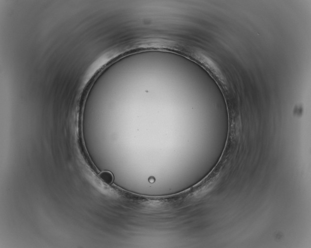 X0000090901130200707301407