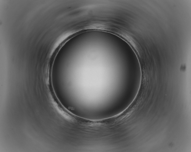 X0000090901131200707301407