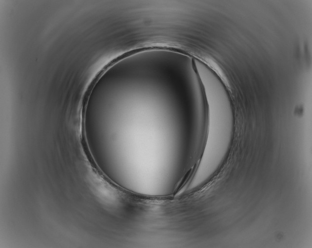 X0000090901132200707301407
