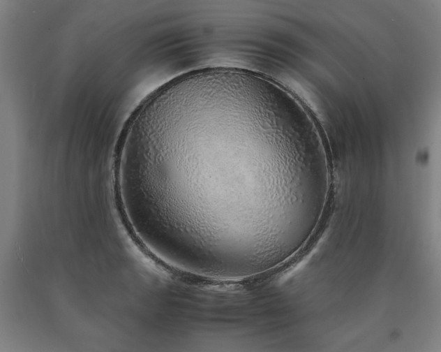 X0000090901133200707301407