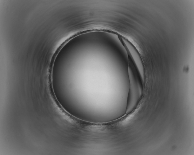 X0000090901134200707301407