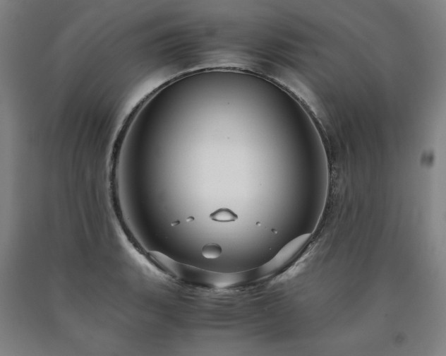 X0000090901135200707301407