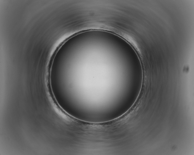 X0000090901136200707301407