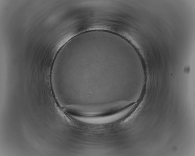X0000090901137200707301407