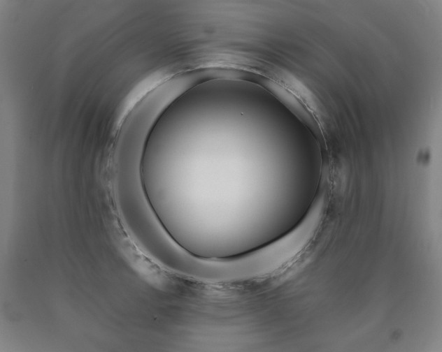 X0000090901138200707301407