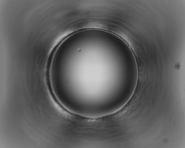 X0000090901139200707301407