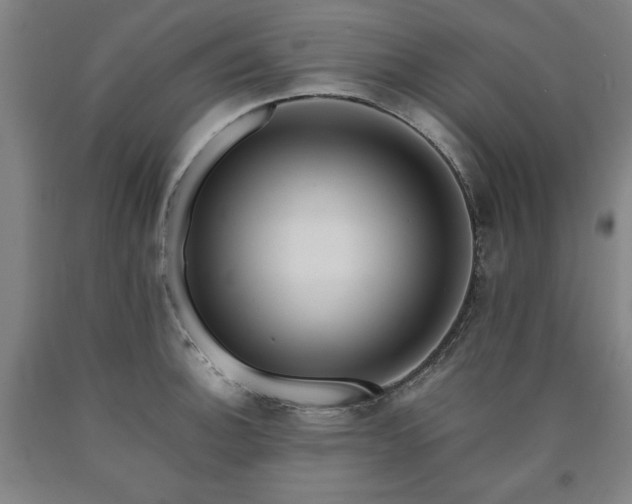 X0000090901140200707301407