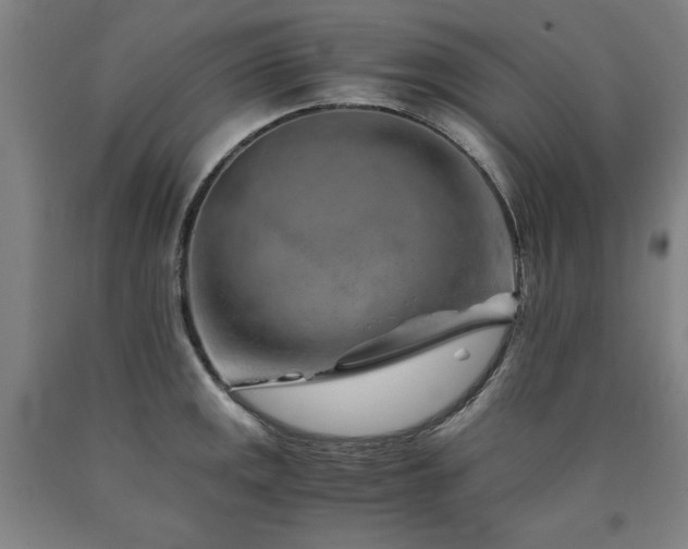 X0000090901141200707301407