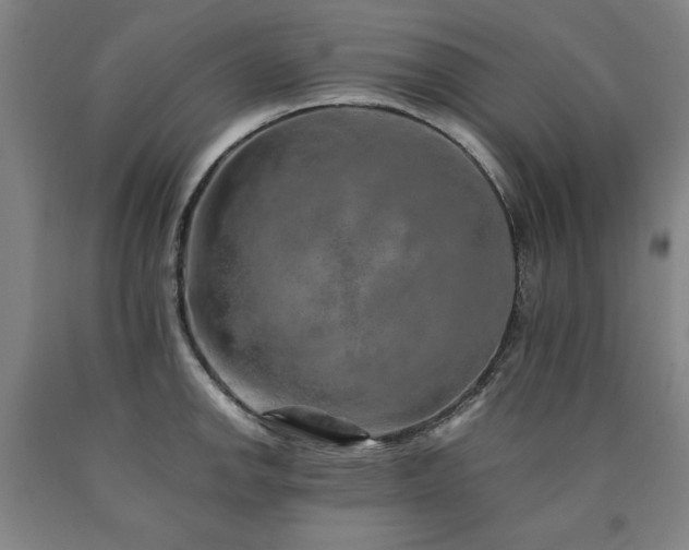 X0000090901142200707301407