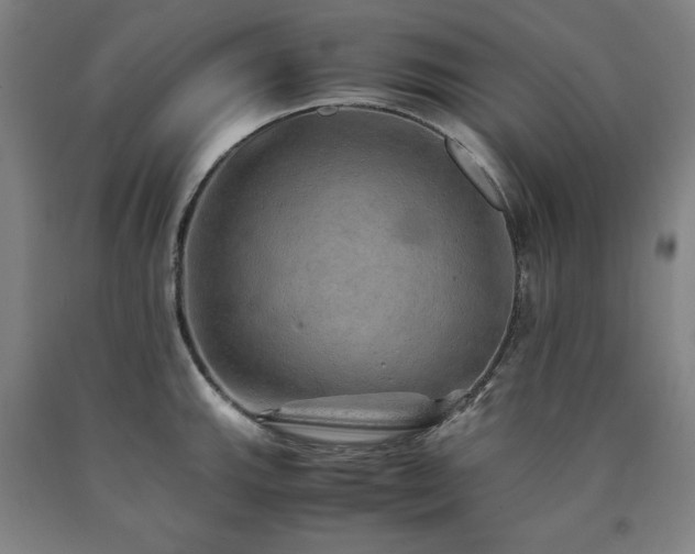 X0000090901143200707301407