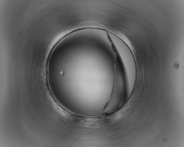 X0000090901144200707301407