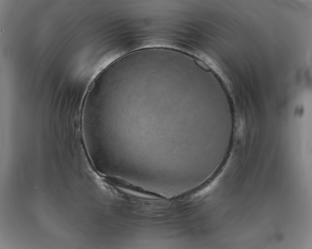 X0000090901145200707301407