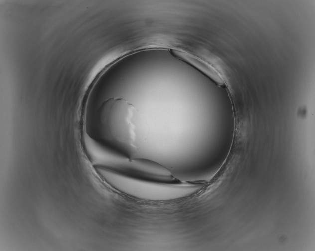 X0000090901146200707301407
