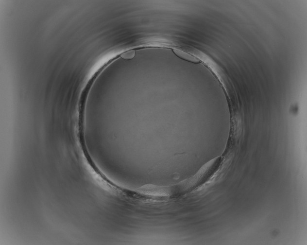 X0000090901147200707301407