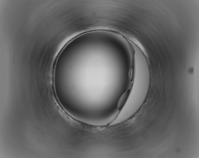 X0000090901148200707301407