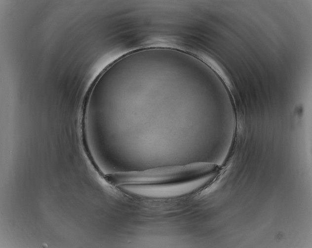 X0000090901149200707301407