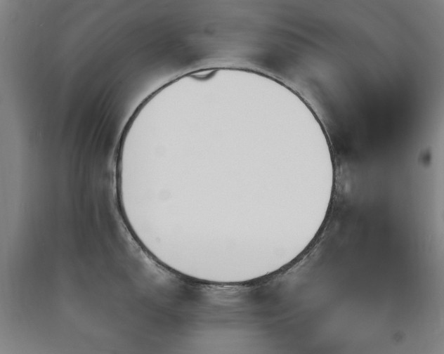 X0000090901150200707301407