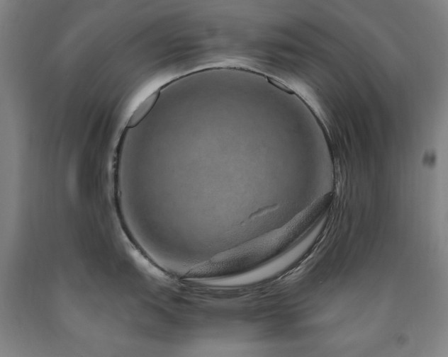 X0000090901151200707301407