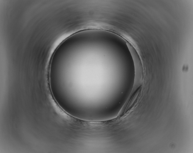 X0000090901152200707301407