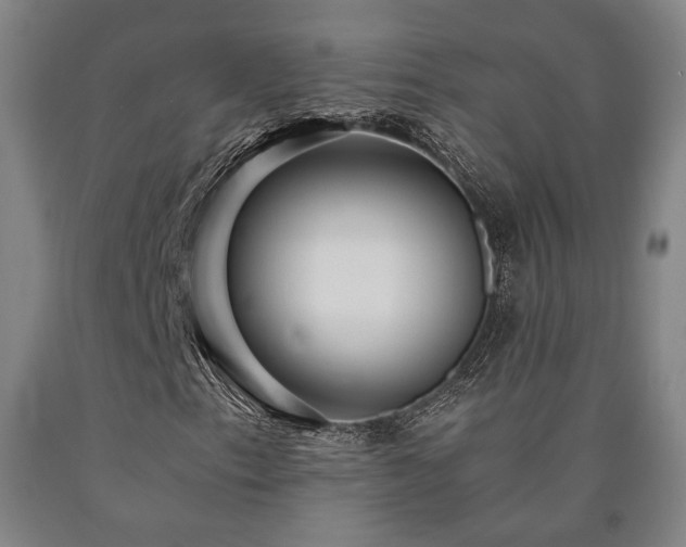 X0000090901153200707301407