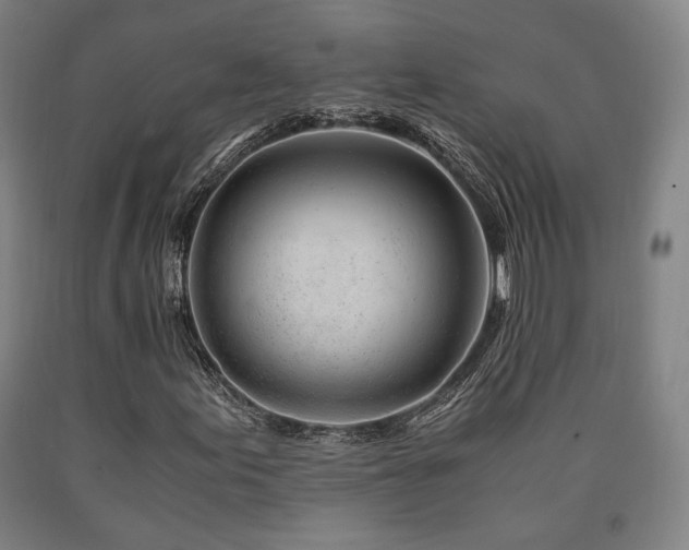 X0000090901155200707301407