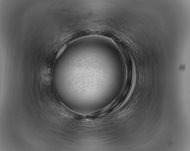 X0000090901156200707301406