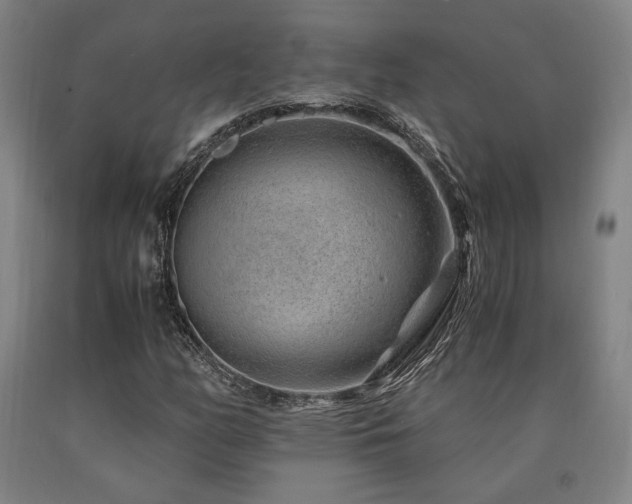 X0000090901158200707301406