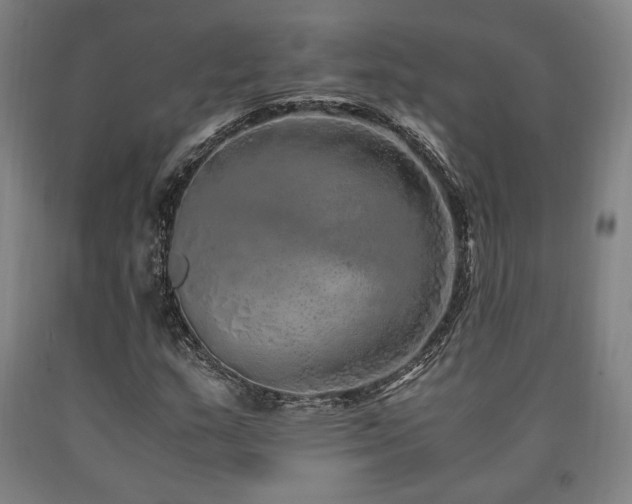X0000090901159200707301406