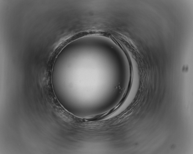 X0000090901160200707301406