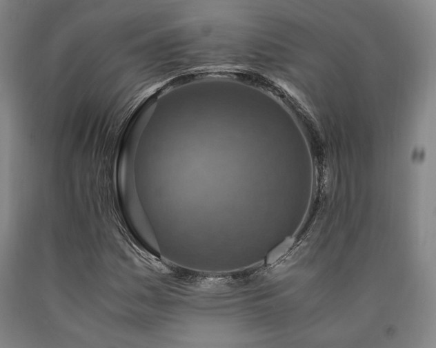 X0000090901161200707301406
