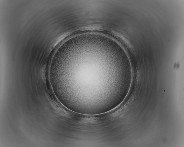 X0000090901162200707301406