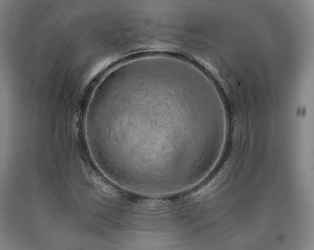 X0000090901163200707301406
