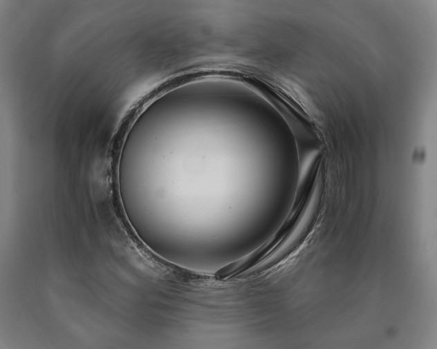 X0000090901164200707301406