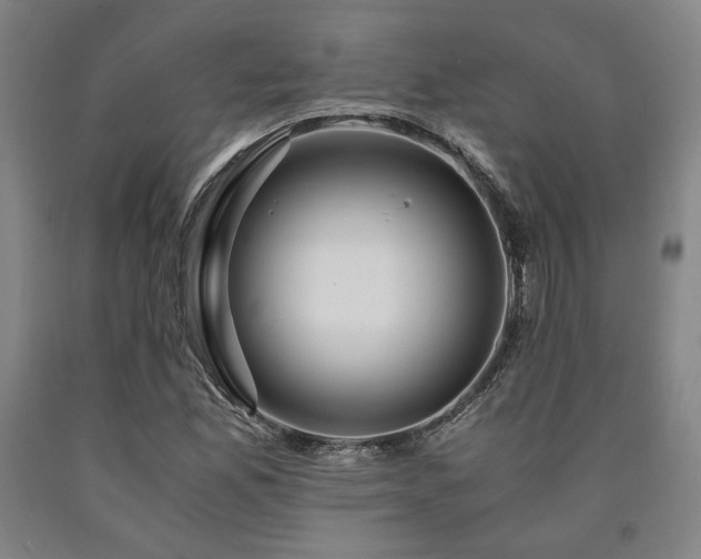 X0000090901165200707301406