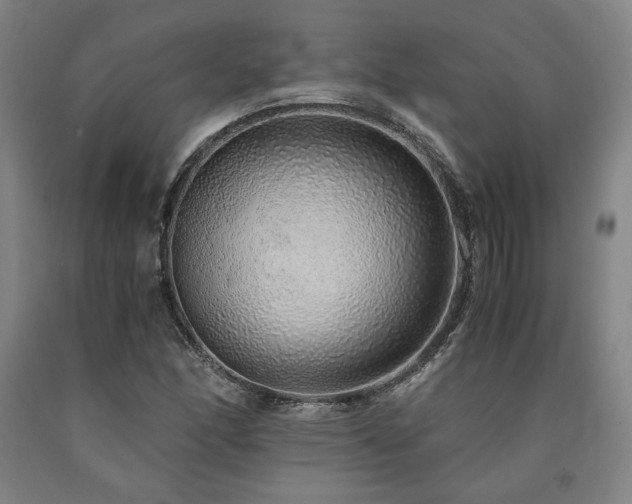 X0000090901166200707301406