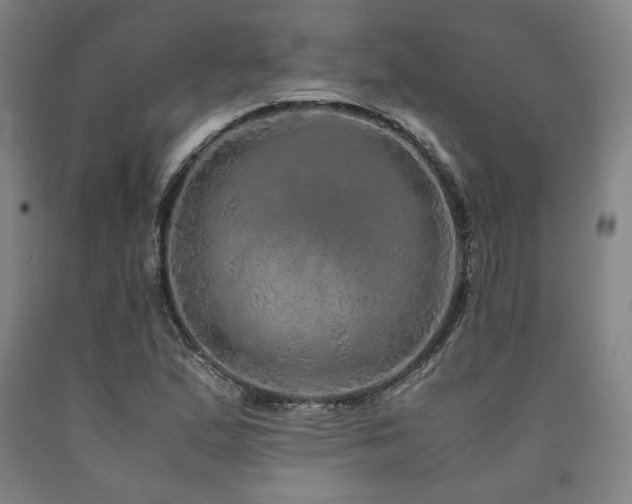 X0000090901167200707301406