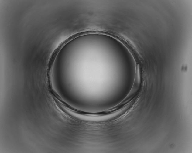 X0000090901168200707301406